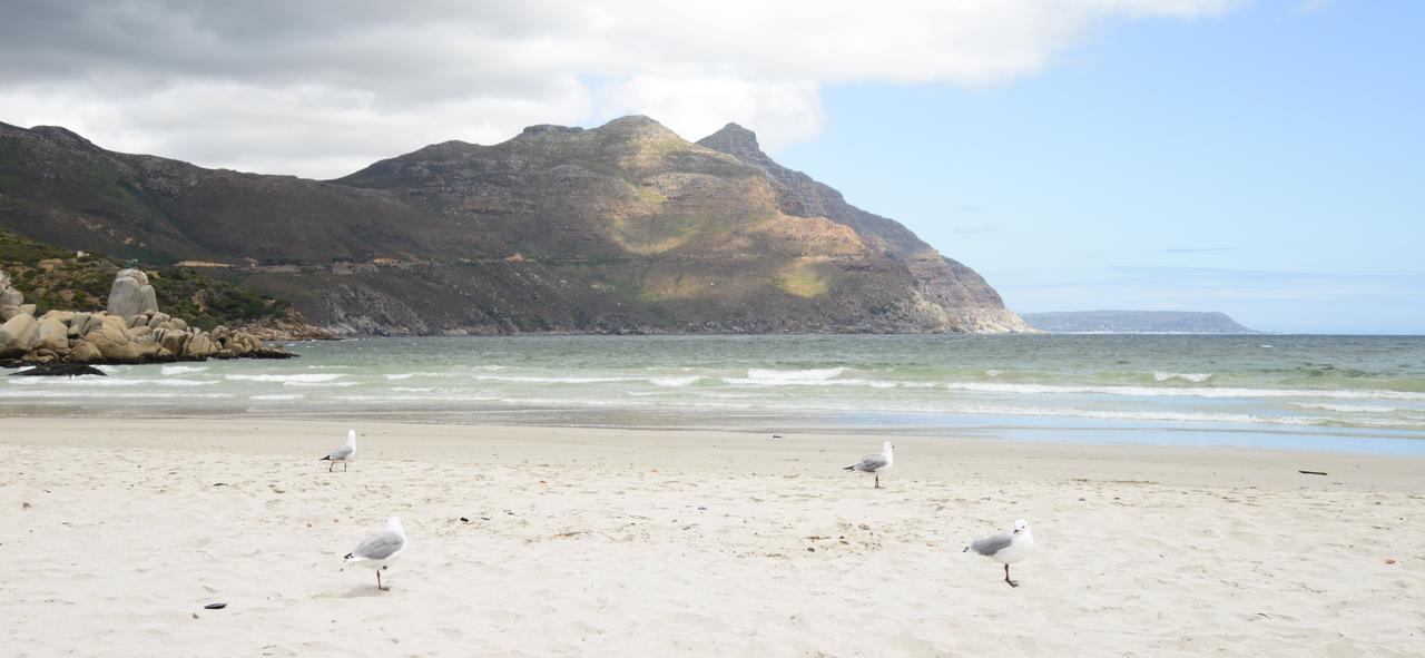 Dk Villas 1 Harbour View Hout Bay Kültér fotó