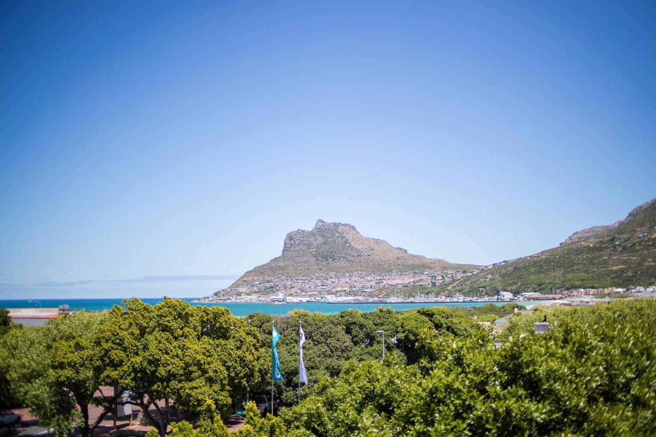Dk Villas 1 Harbour View Hout Bay Kültér fotó